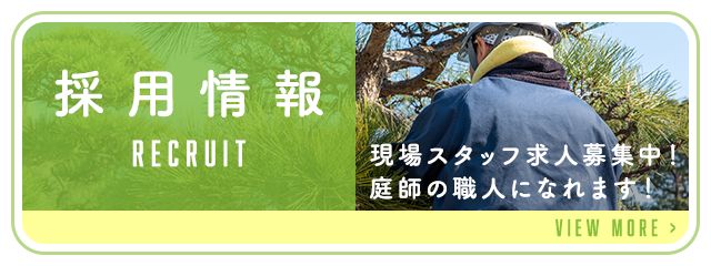 採用情報